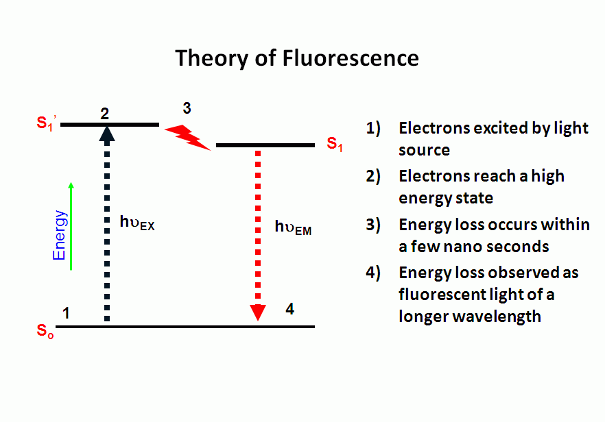 What Is Flow Cytometry
