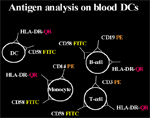 Denditric cell analysis