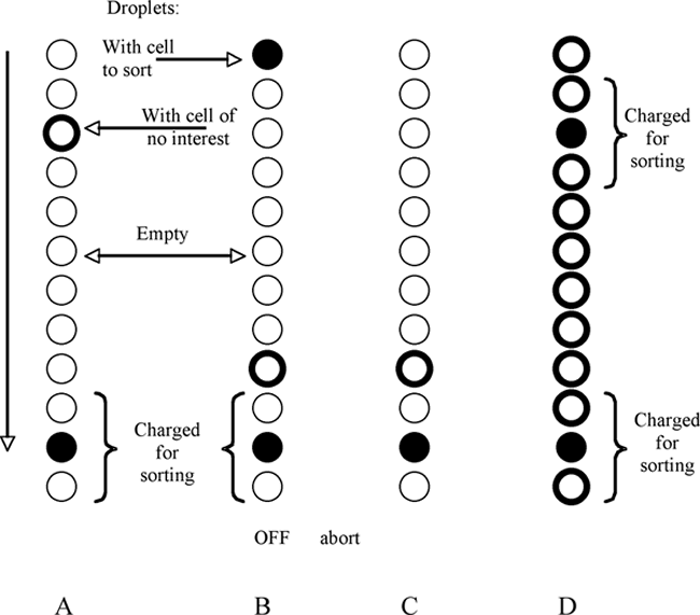 Flow sorting