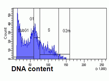 DNA fragmentation