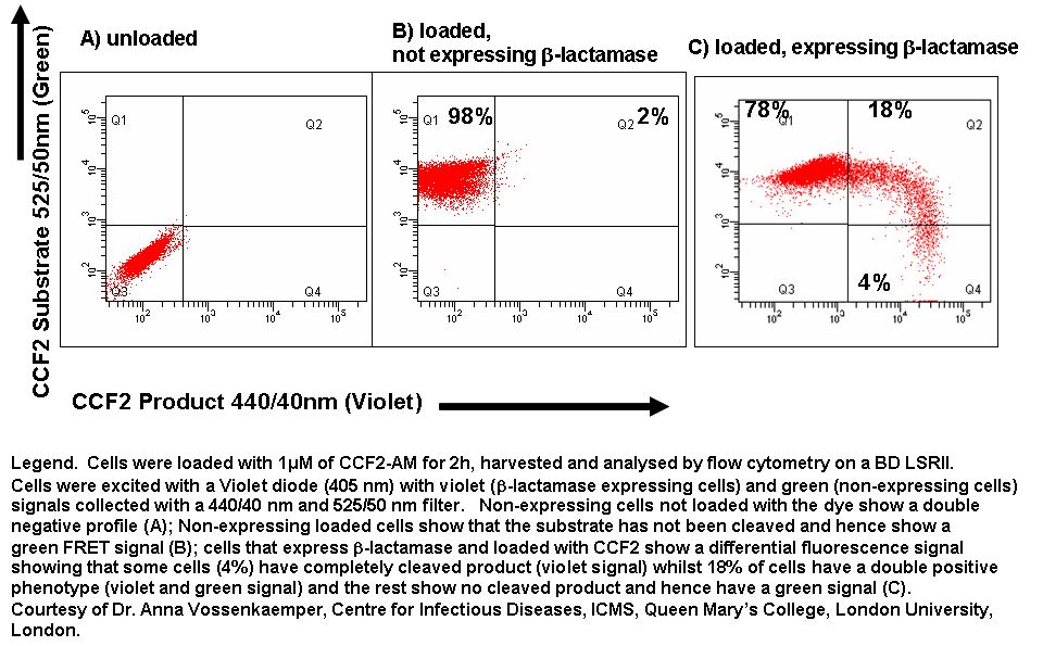 FRET CCF2  Flow Cytometry Core Facility