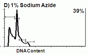 DNA fragmentation